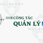 Công tác quản lý