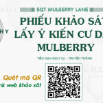 Thông báo: Khảo sát ý kiến cư dân Mulberry Lane