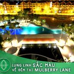 Lung linh sắc mầu về đên tại Mulberry Lane