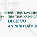 Đấu thầu lựa chọn nhà thầu cung cấp dịch vụ an ninh bảo vệ tại CCC Mulberry Lane